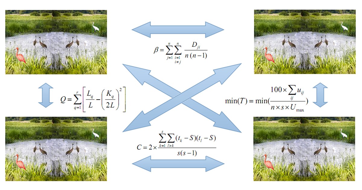 Graphical abstract